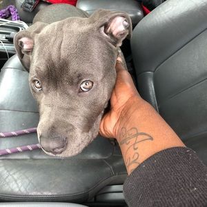 Meet your Posher, Thaddeus